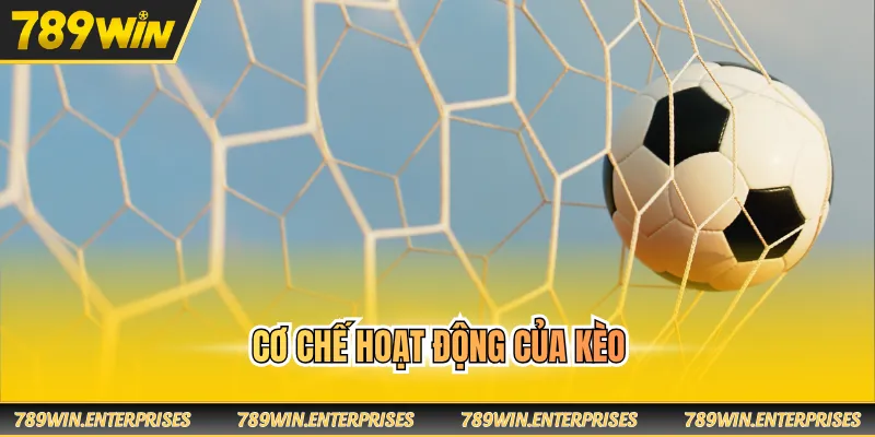 Cơ chế hoạt động của kèo