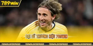 Đại sứ thương hiệu 789win