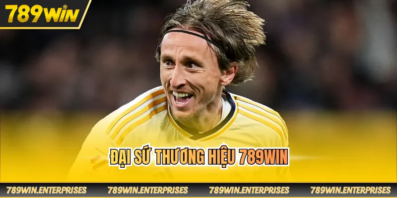 Đại sứ thương hiệu 789win