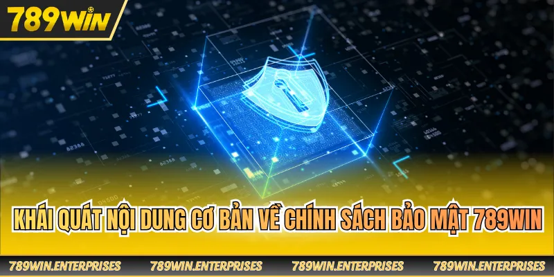 Khái quát nội dung cơ bản về chính sách bảo mật 789WIN