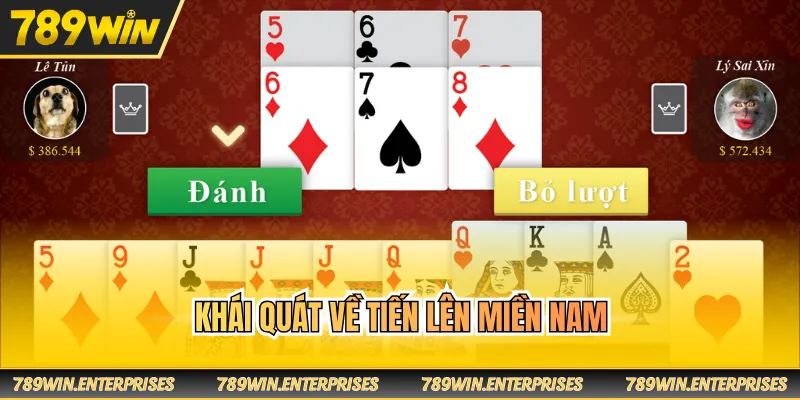 Khái quát về tiến lên miền Nam