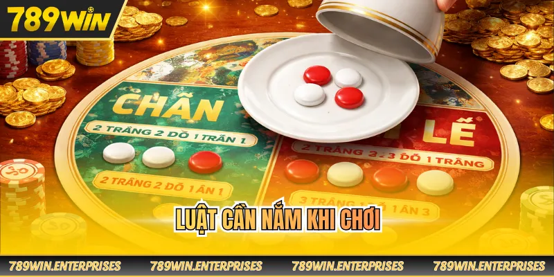 Luật cần nắm khi chơi