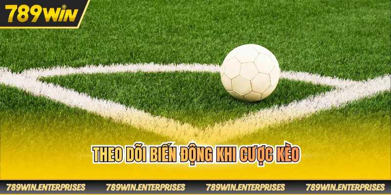 Theo dõi biến động khi cược kèo
