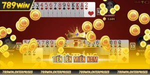 Tiến lên miền Nam