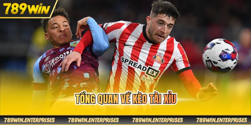 Tổng quan về kèo tài xỉu